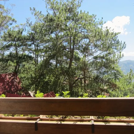 Mines View Park Hotel