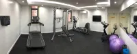 إيبيس ستايلس كنجز جيت - نادي رياضي