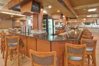 Holiday Inn BINGHAMTON DOWNTOWN by IHG - bar