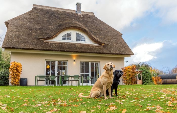 Lieblingshof House 3 - Holidays under the thatch and close to the Baltic Sea