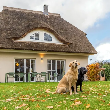 Lieblingshof House 3 - Holidays under the thatch and close to the Baltic Sea