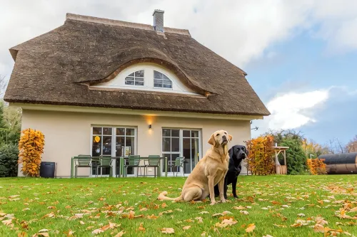 Lieblingshof House 3 - Holidays under the thatch and close to the Baltic Sea - 홈스테이