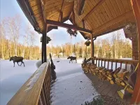6-bedroom Lakefront Lodge on 10 acres w/wifi only 13 miles to downtown Talkeetna - Chalets