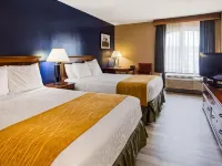 Best Western Springfield Hotels in Springfield