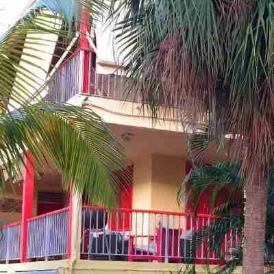 T3 Montana 2, DESHAIES, 350 m Grande Anse, 5/7 people, 2 bedrooms + living room, terrace. Hotel Exterior