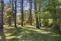 Fantastic retreat 5 mins from Village with media room, AC and sauna! - 3-Star