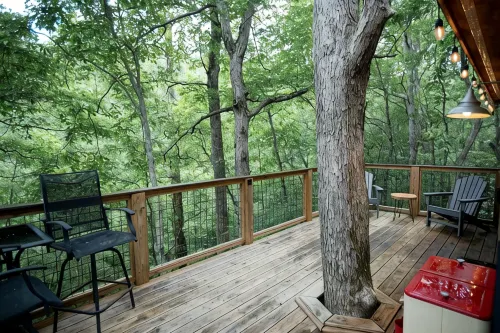 Secret Stash: Secluded Treehouse Overlooking Creek