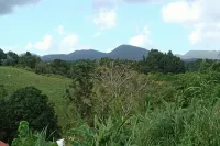Quiet cottage in beautiful location on the edge of rainforest,