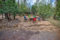 Cabin On NAT'L FOREST! LAKE & CREEK minutes away! - Chalets