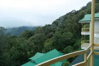 Deshadan Mountain Resort -The Highest Resort in Munnar - Mountain view