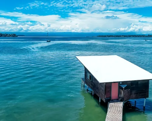 The Sea Monkey Hotels in Bastimentos Island