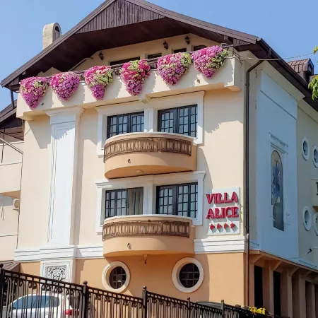 Villa Alice Отели в г. Сучава