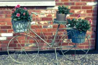 Close to Peppa Pig World, New Forest and South coast - Wifi