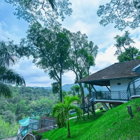 Forest Canopy Thekkady