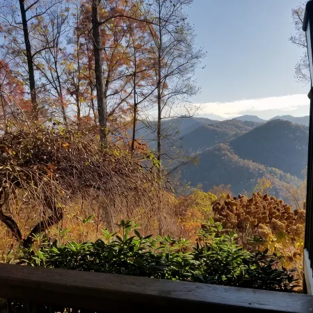 Gated Luxury Lodge - Hot Tub, Mountain Views, Stunning Gardens, Secluded