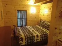 Located in the Finger Lakes a cabin in the country w/ trails & fishing