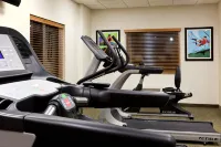 Holiday Inn Express & Suites MONTERREY AEROPUERTO by IHG - Gym