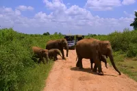 Mahoora - Udawalawe by Eco Team - Homestays