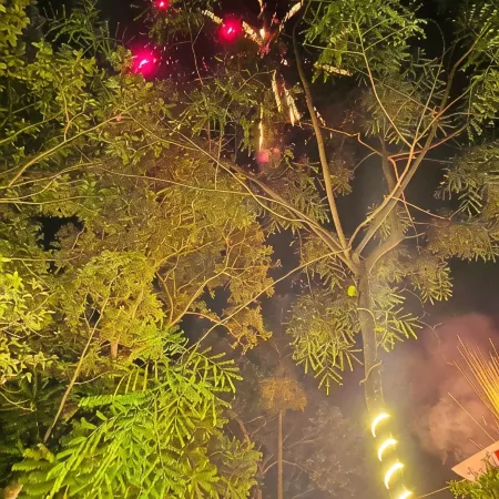 VIP Garden Resort