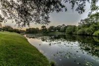 THE JUMPIN FISH HOUSE - 2-Sterne