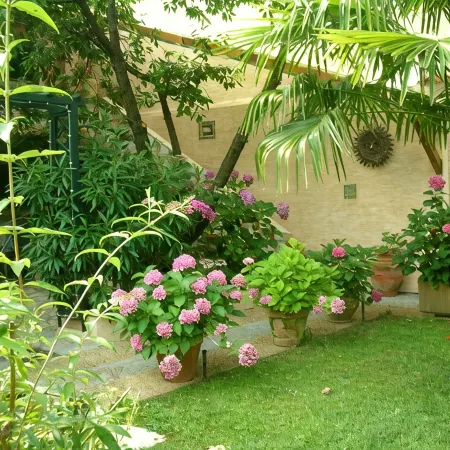 Le Clos des Vignes - Studio 2