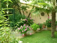 Le Clos des Vignes - Studio 2