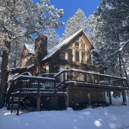 Nestled in the pines on 2 acres, secluded, close-to-nature house. Pet-Friendly!