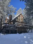 Nestled in the pines on 2 acres, secluded, close-to-nature house. Pet-Friendly! - balcón