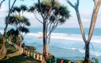 Homestay 28 Pangandaran - bar