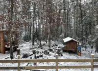 Beautiful & peaceful cabin w deck, garden, firepit & walking trails. - Hytter