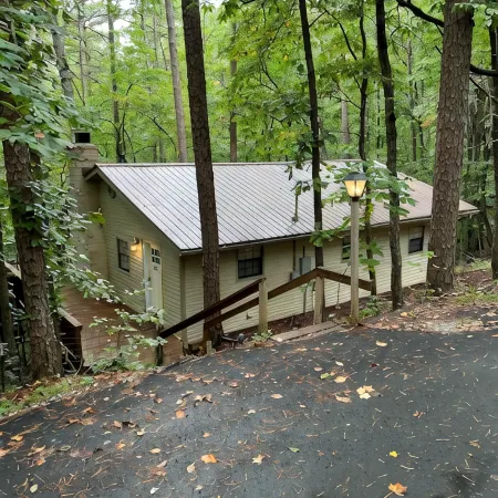 Cabin with Hot Tub, Firepit, Dog Park