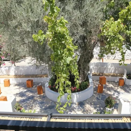 Daphnis Hotel