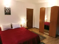 Pensiunea Agroturistică Piscul Soarelui - bar
