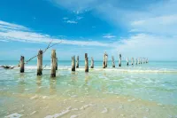 Steps to the Sand, Dive into the Pool – Live the Dream - 2つ星
