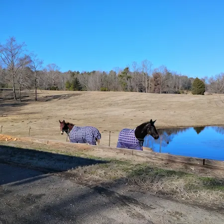 Roomy 3-Bedroom Horse & Goat Ranchette with Hiking Trails. Noccalula & Gadsden