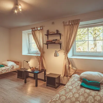Downtown Forest Hostel & Camping Hotels near Rasos