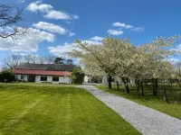 Jabajak Vineyard Restaurant & Rooms - Bares