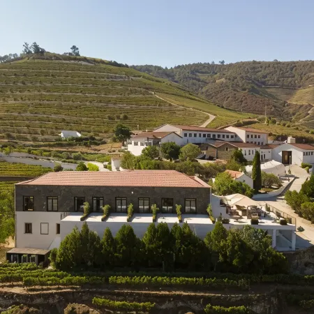 Quinta de Sao Luiz the Vine House