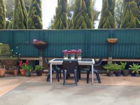 Rippleside Park Motor Inn - 3-Star