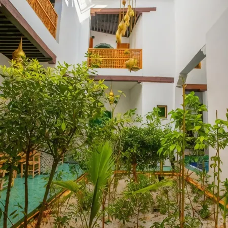 Riad Old City Palace