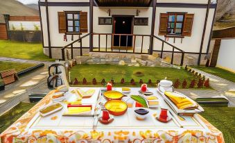 Şamlıoğlu Historical Villa - Housity