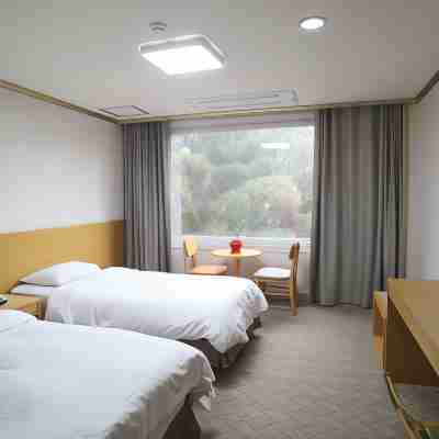 Chuncheon Bears Hotel Rooms