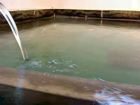 Kamimuraya Ryokan