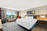 Hilton Garden Inn San Mateo Hotels near Costco Wholesale