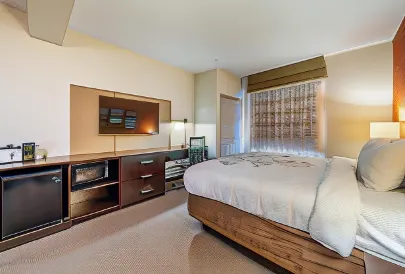 Restwell Inn & Suites I-45 North