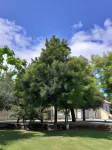 Casas do Souto Hotels in Freamunde