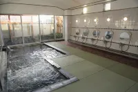Hotel New Kotobuki - Hot Springs