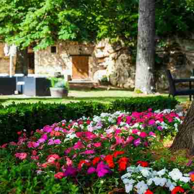 Hôtel Restaurant du Château de la Tour Hotel Exterior