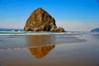 Spacious and Beautiful Single-Level for 10+