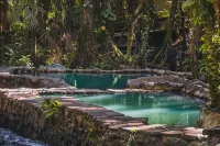 Termales del Bosque & Hot Springs Hotels in Chiles
